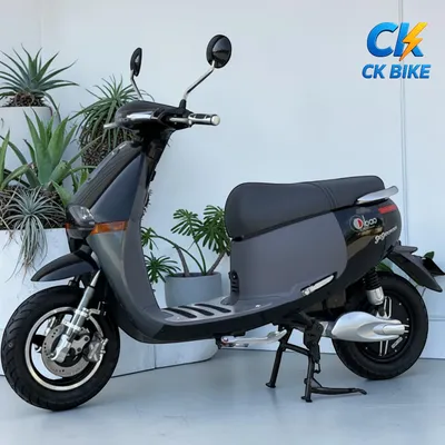 Dibao GoGo Cross G góc 3