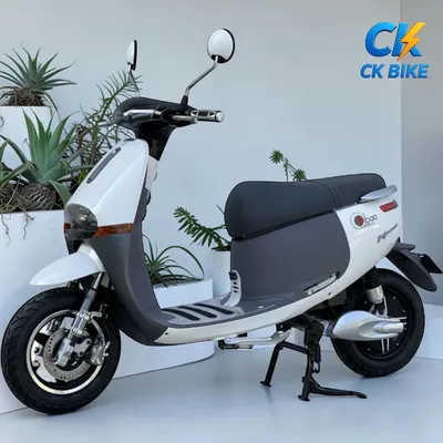 Dibao GoGo Cross G góc 4