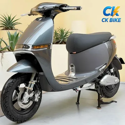Dibao GoGo Crown góc 5