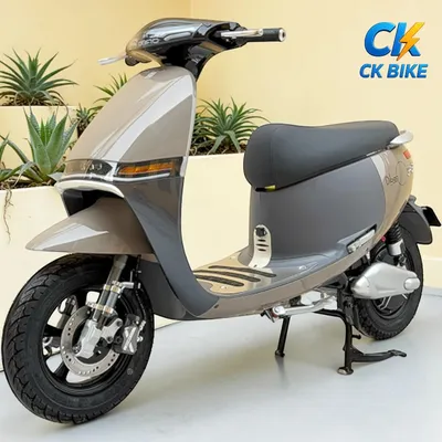 Dibao GoGo Crown góc 7