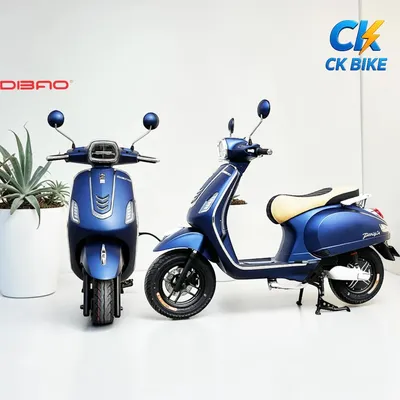 Dibao Pansy S4 góc 5